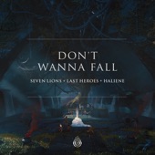 Don't Wanna Fall artwork