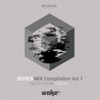 Series Mix Compilation, Vol. 1 (Selected and Mixed by Landik), 2020