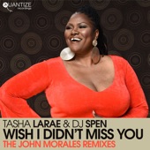 Wish I Didn't Miss You (John Morales M+M Vocal Mix) artwork
