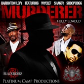 Murderer (feat. Wyclef Jean, Snoop Dogg & Shaggy) artwork