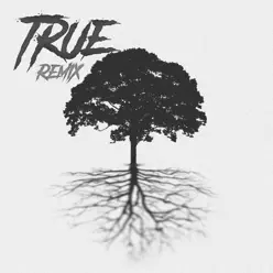 True (Remix) - Single - Dirty K True (Remix) - Single - Dirty K