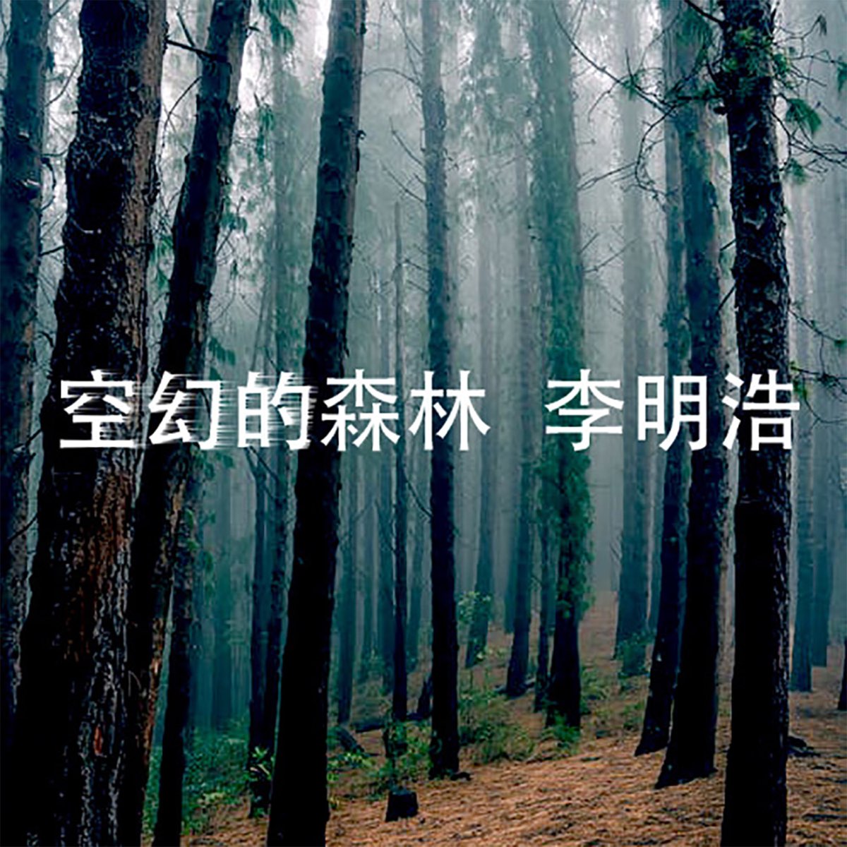 空幻的森林by 李明浩on Apple Music