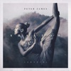 Shallow (Adagio) - Single