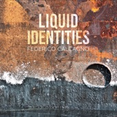 Liquid Identities artwork