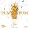 Pum Pum artwork