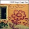 I Will Never Forget You - Judy Carr & the Home Base Hoodlums lyrics