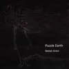 Stream & download Puzzle Earth - Single