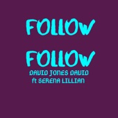 Follow Follow (feat. Serena Lillian) artwork