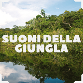 Suoni della giungla - Animali tropicali, magica atmosfera e sottofondo musicale - Ennio Morello