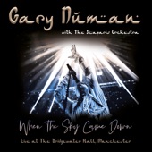 When the Sky Came Down (Live at the Bridgewater Hall, Manchester) artwork