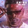 Amina - Single, 2019