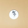 Roland Appel - Gonzo