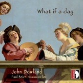 What if a Day artwork