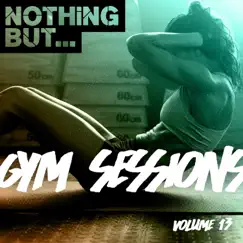 Nothing But... Gym Sessions, Vol. 13 by Various Artists album reviews, ratings, credits