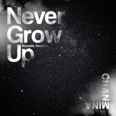 Never Grow Up (Acoustic Version) artwork