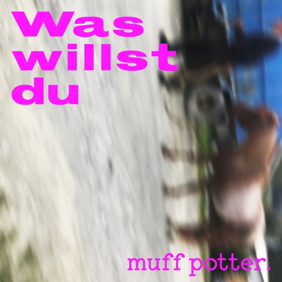 Cover artwork for Was willst du