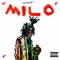 Milo - Cochise lyrics