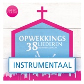 Uw Vrede Vult Dit Huis (765) [Instrumentaal] artwork