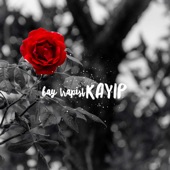 Kayıp artwork