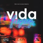 Vida fugaz artwork