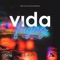 Vida fugaz artwork