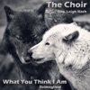 What You Think I Am (Reimagined) [feat. Leigh Nash] - Single
