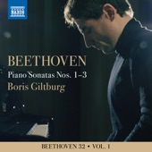 Piano Sonata No. 1 in F Minor, Op. 2 No. 1: IV. Prestissimo artwork