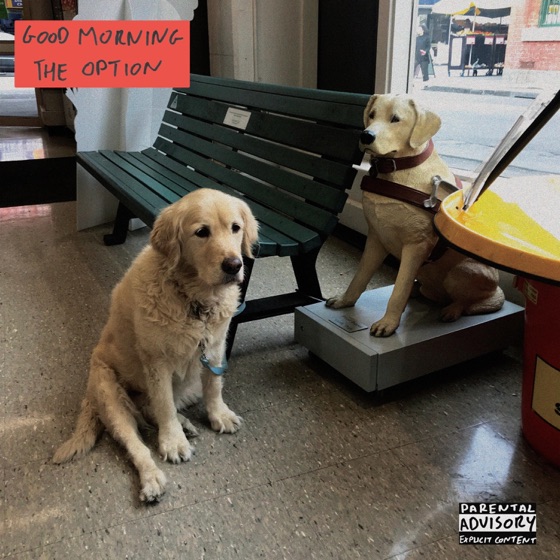 Cover artwork for Still Commit Crimes