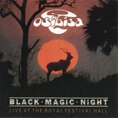 Black Magic Night artwork