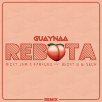 Guaynaa, Nicky Jam & Farruko - Rebota (feat. Becky G. & Sech) [Remix] artwork