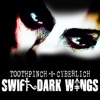 Swift Dark Wings (Extended Mix) - Single