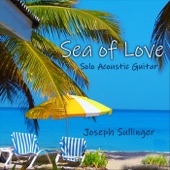 Joseph Sullinger - Sea of Love (Instrumental)