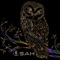 Owl - Osah lyrics
