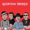 Hash Pipe - Sparrow Sleeps lyrics