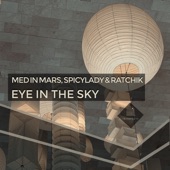 Eye in the Sky (Instrumental Mix) artwork