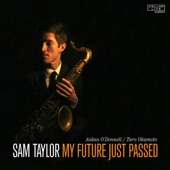 Sam Taylor - You Are Too Beautiful