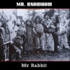 Mr Rabbit - Single