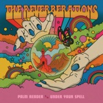 The Reverberations - Under Your Spell