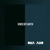 Voice of Earth artwork