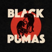 Black Pumas artwork