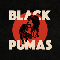 Black Pumas - Black Pumas artwork