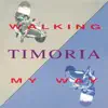 Walking My Way - EP album lyrics, reviews, download