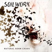 Natural Born Chaos artwork