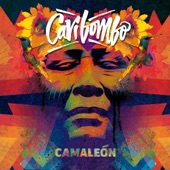 Caribombo - Friolento (feat. Shak Shakembo)