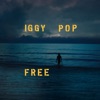 Iggy Pop - Loves Missing
