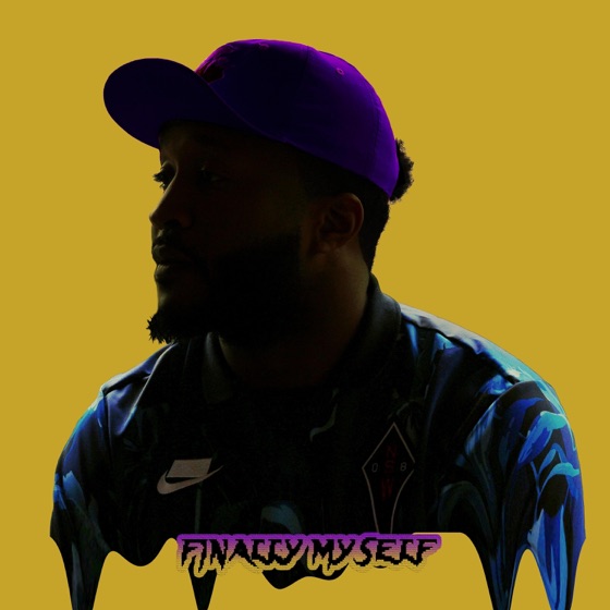 Cover artwork for Lame Duck