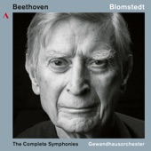 Symphony No. 9 in D Minor, Op. 125: IV. Finale. Presto artwork