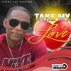 Take My Love - Single