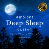 Ambient Deep Sleep Guitar artwork