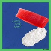 sweet seep sleep artwork